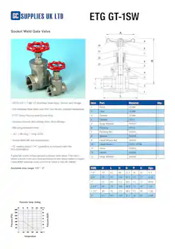 Datasheet For Socket-Weld 3-Piece Spring Check Valve