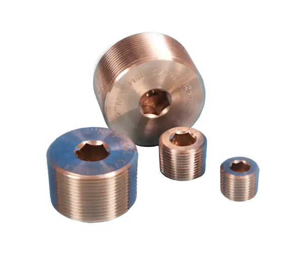 Stainless Steel Hexagon Allen Key Plugs