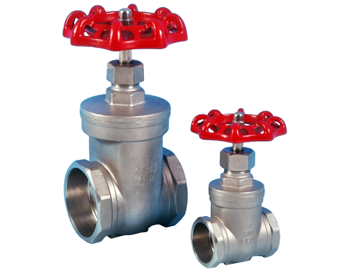  S/S Flanged Pattern Gate Valve ANSI 150 ETG-GT150