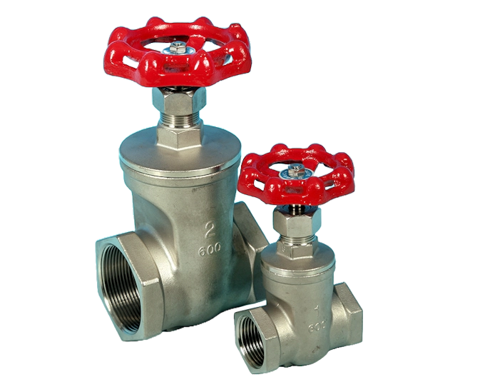 Stainless Steel Screwed Pattern Gate Valve ETG-GT1