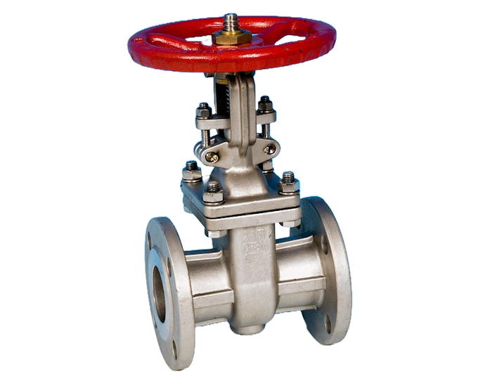 Stainless Steel Flanged Pattern Gate Valve ANSI 150 ETG-GT150