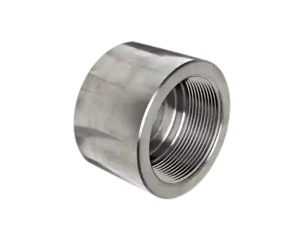 >High Pressure Stainless Steel Threaded End Blank Cap