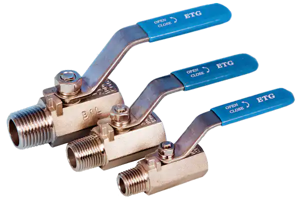 1-Pce Reduced Bore Male x Female Ball Valve ETG R-1MF