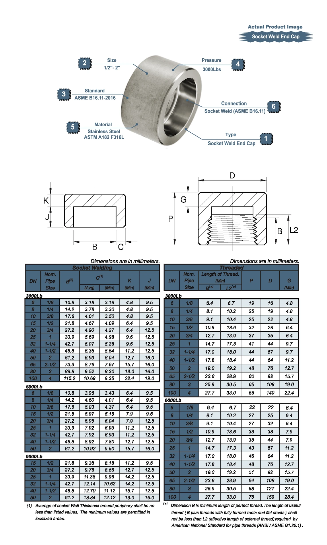 S/S High Presure BSPT Socket Weld End Cap Drawing