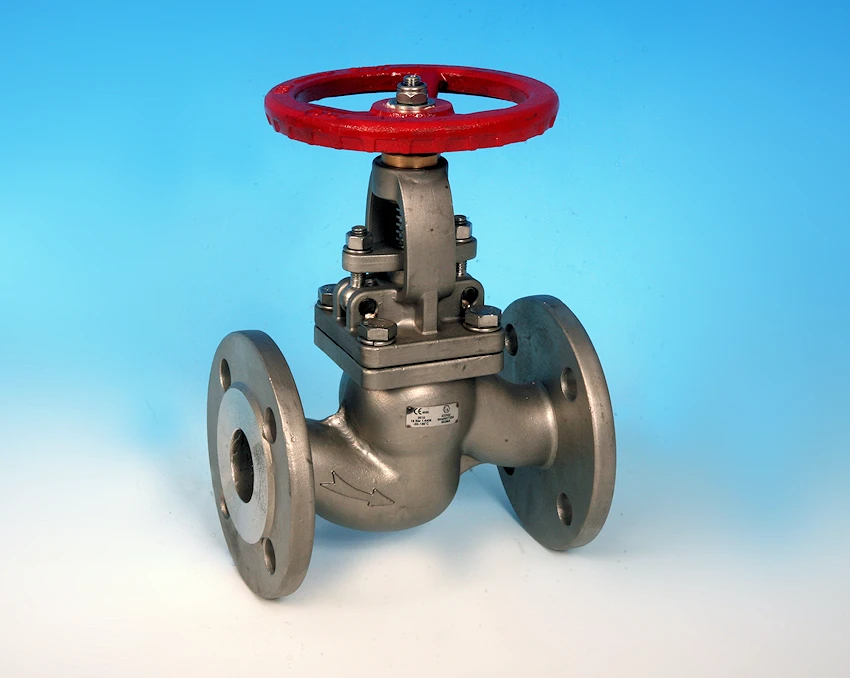 S/S Flanged Pattern Globe Valve