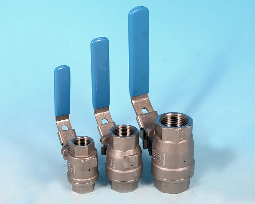 S/S Ball Float Valve