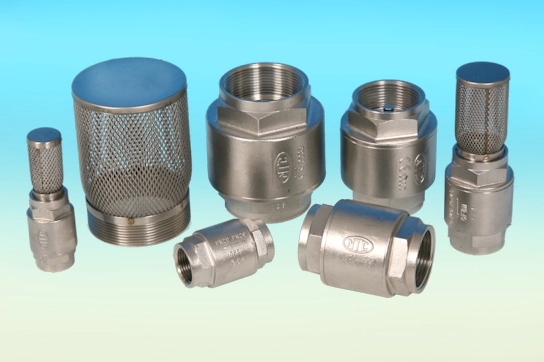 Stainless Steel Check Valves