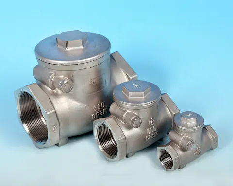 stainless steel Screwed Swing Pattern Check Valve