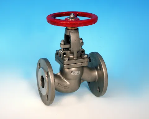 stainless steel Flanged Pattern Globe Valve DIN PN16