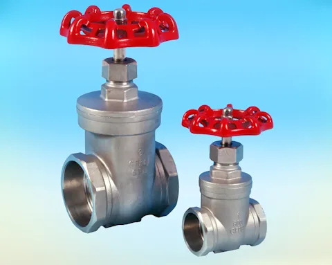 stainless steel Socket Weld Gate Valve