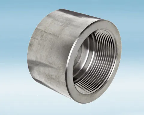 High Pressure Stainless Steel Blank Cap 316L