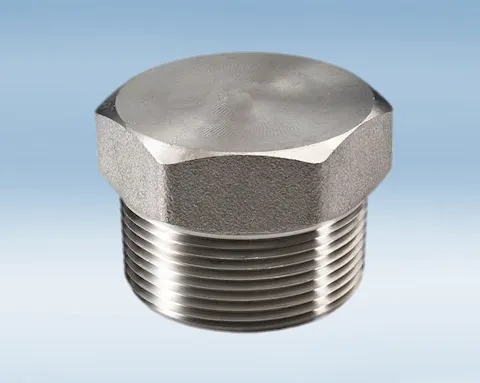 High Pressure Stainless Steel Hexagon Head Plug 316L