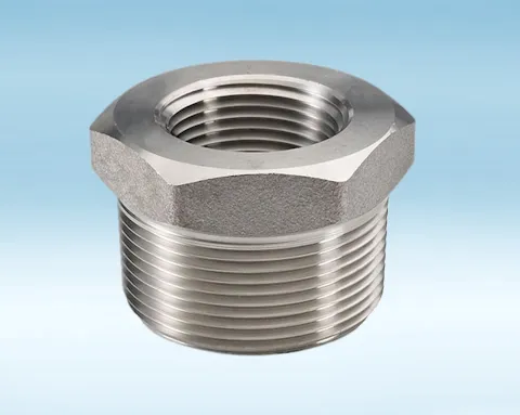 High Pressure Stainless Steel Hexagon Reducing Bush 316L