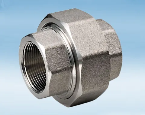 High Pressure Stainless Steel Threaded End union 316L